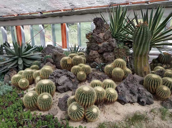 届时,金江水木园将以更文化,更贴近游客体验的面貌