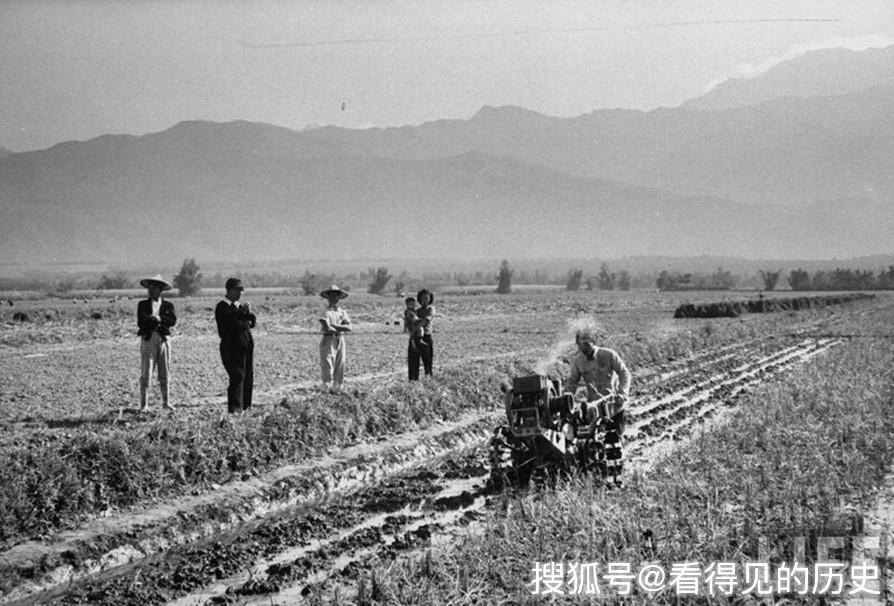 原创老照片1959年土改后的台湾农村辛勤劳作的农民