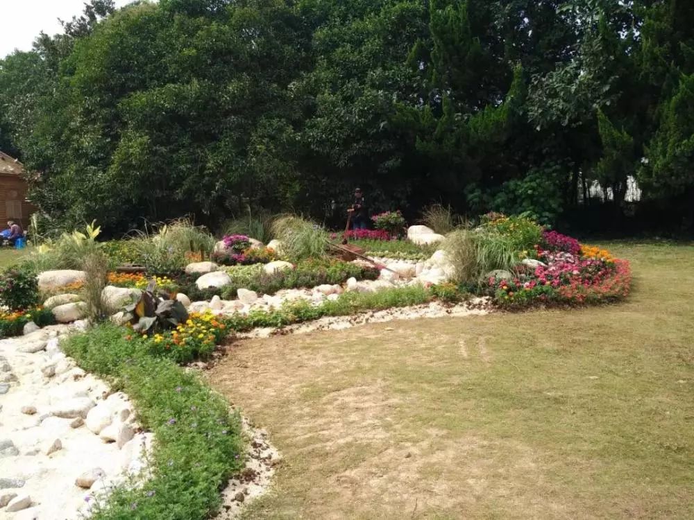 花境植物配置前景中景背景