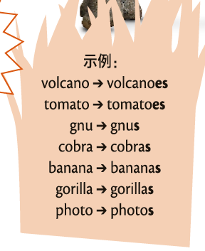 这里提到了hippo的复数,所以配有一大一小两只河马的实物图,这样记得