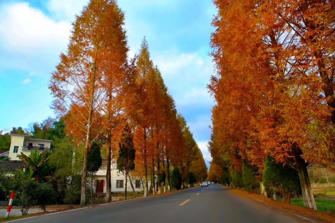 旅游道（旅游蹊径

）《旅游廊道:全域旅游下的空间整合典范》