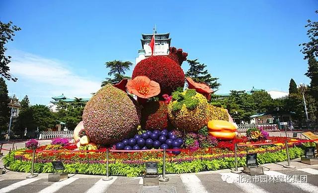 12座鲜花立体花坛设计图与实景曝光简直太美了