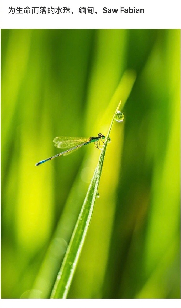 图片[56] - 【女青年191014】日头没有辜负我们，我们也切莫辜负日头。 - xizi