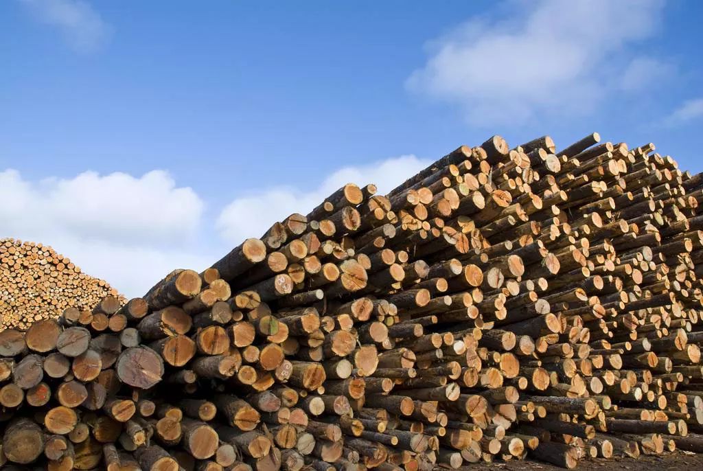 越南林业总局的统计数据显示 与2018年09月份相比增长22.