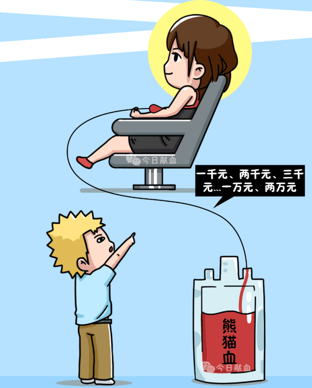 同样是血熊猫血凭啥更贵