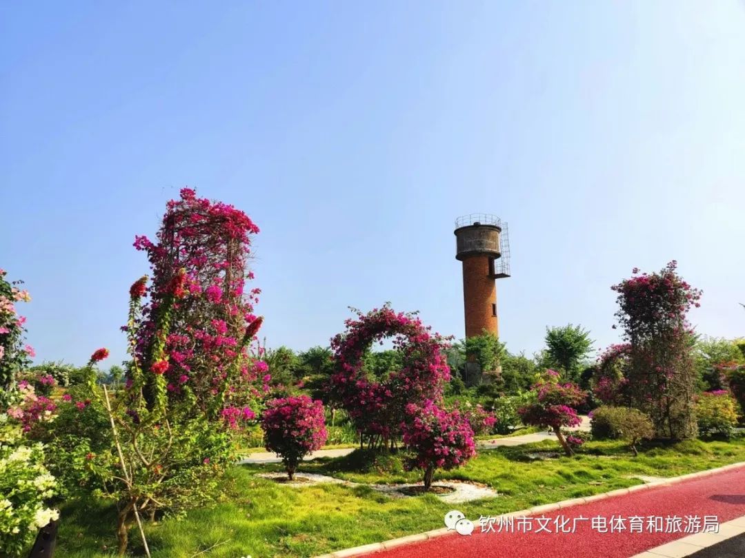 钦州花卉小镇图片
