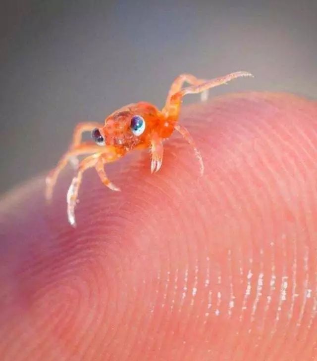 图片[16] - 【女青年191014】日头没有辜负我们，我们也切莫辜负日头。 - xizi