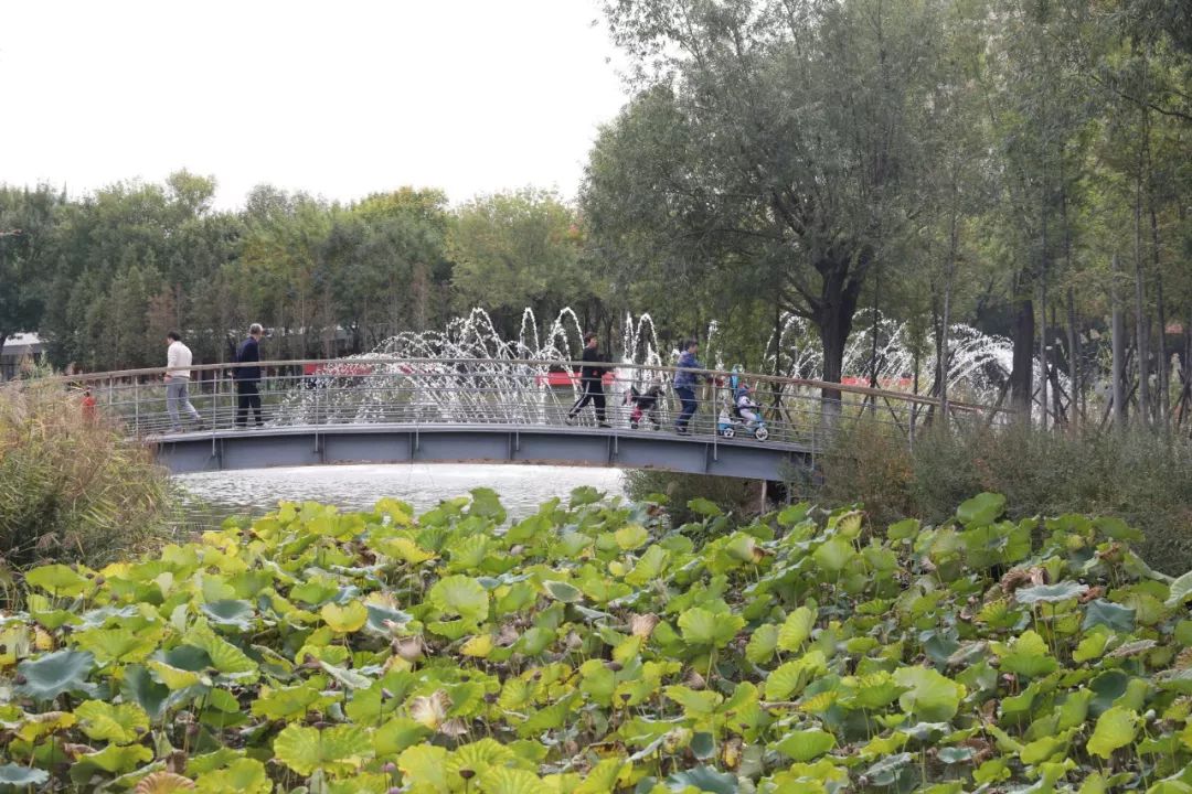 黄县林苑大变样最近不少人都往这跑