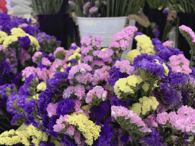 百合,康乃馨,满天星,勿忘我等等而且我们热衷于最低的价格把最好的