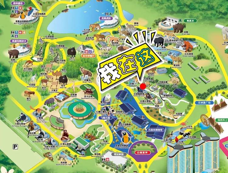 龙之梦动物世界大讲堂开课啦 到太湖龙之梦来看猴!