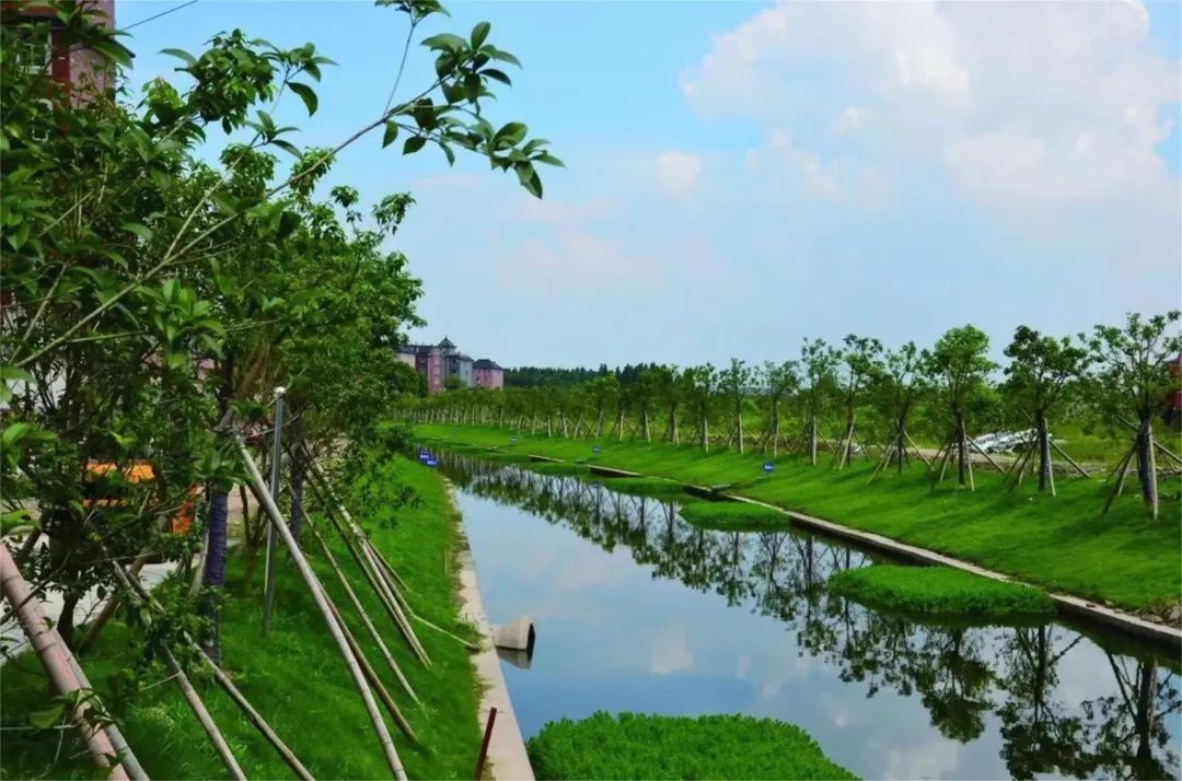 乔司,靓起来!_街道