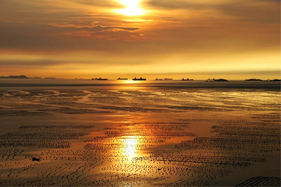 特惠枸杞岛102627北纬30赴一场蓝海之约感受海岛慢生活