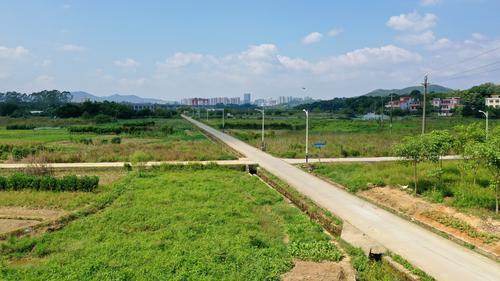 建橋修路,廣州知識城南片區解決出行難_新龍鎮