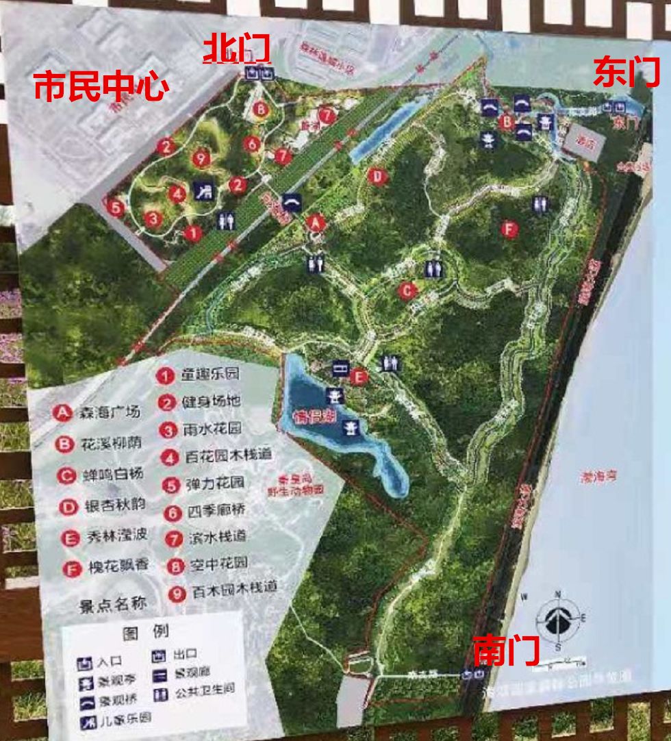 北门近市民中心,秦皇半岛一区,森林逸城;东门连接金海湾森林公园,通过