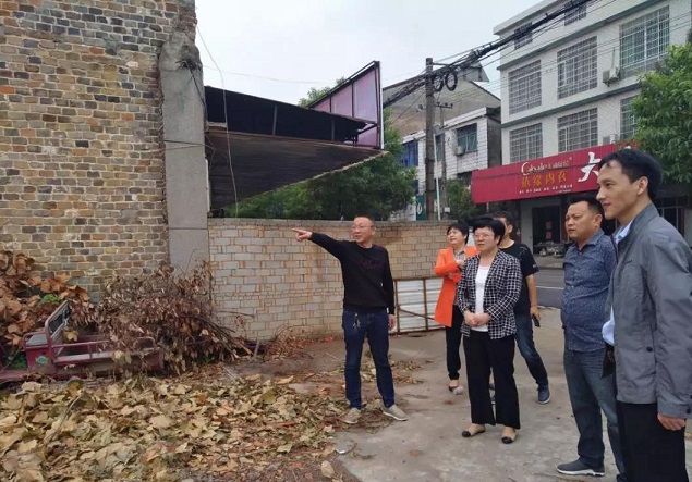 岳阳县副县长彭碧芳赴步仙镇调研