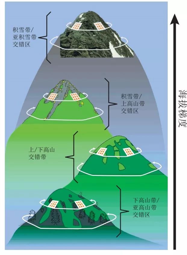 多峰研究法—目標區(6)土地利用程度不高.