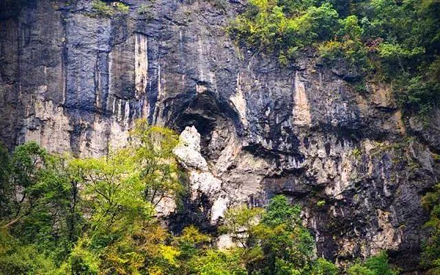 四川光霧山觀賞紅葉的好地方明天就出發約起