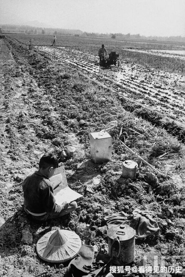 原创老照片1959年土改后的台湾农村辛勤劳作的农民