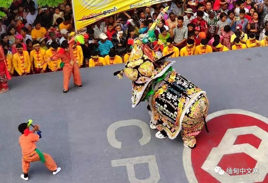 缅甸华人逢年过节喜欢舞龙舞狮,而曼德勒民众喜欢舞大象