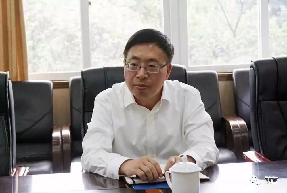 【镁资讯】浙江兰溪市委书记陈峰齐一行来国家镁中心访问交流