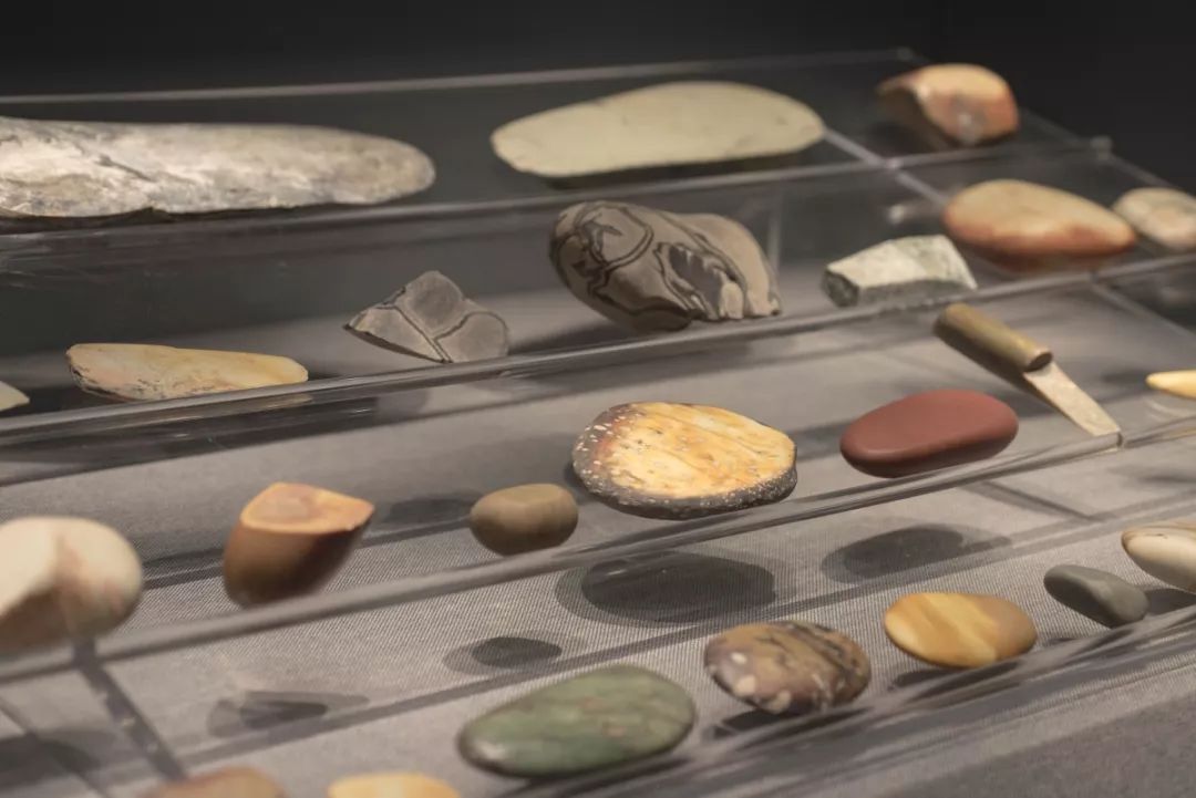 博物馆里的奇葩展品