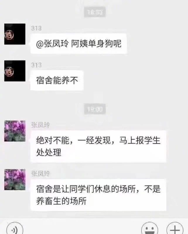 图片[10] - 【女青年191014】日头没有辜负我们，我们也切莫辜负日头。 - xizi