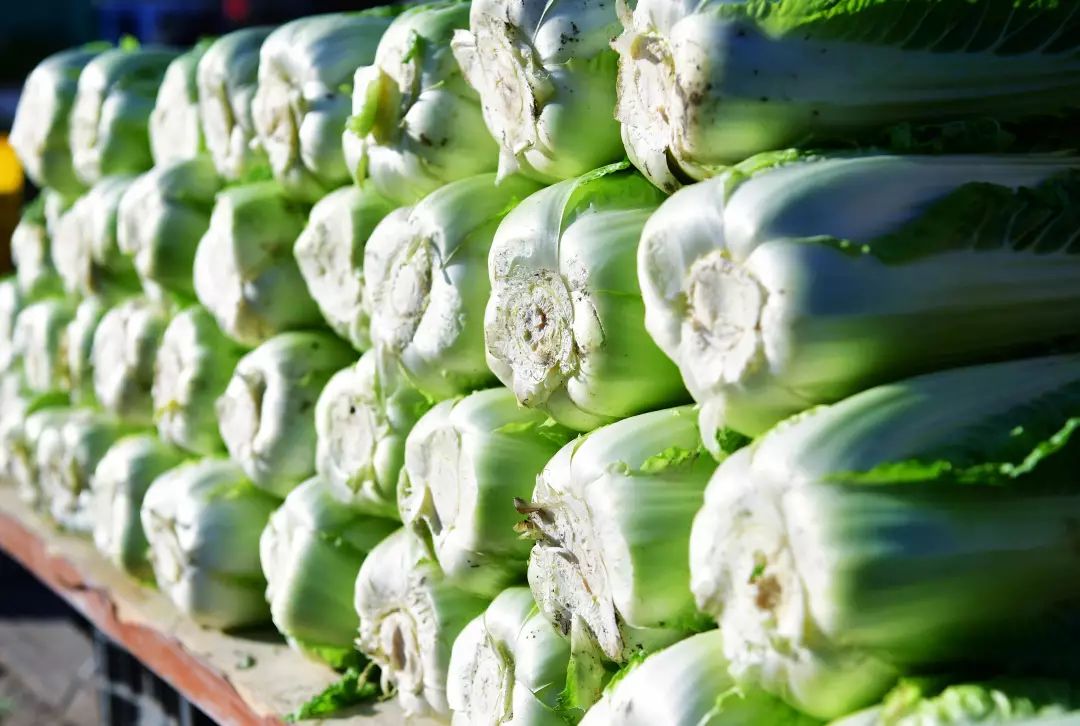 大庆的秋菜大军已出街!