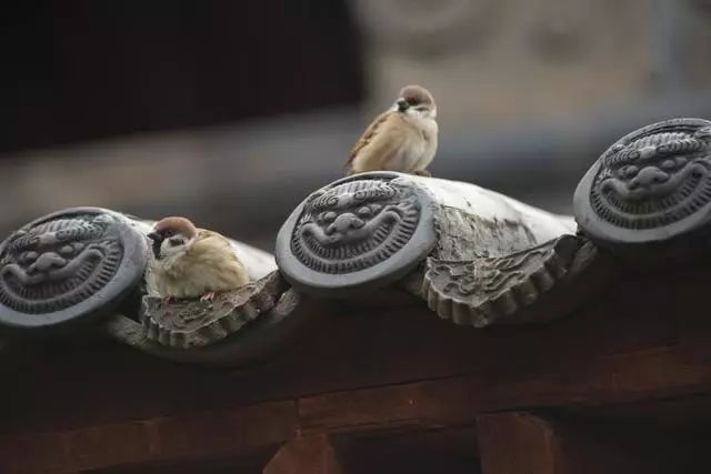 藏在北方的布达拉宫山西夏县堆云洞掠影