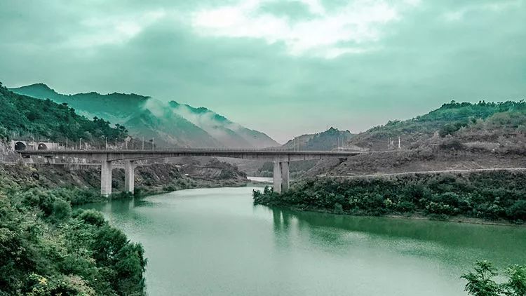 商洛南秦水库好生态,鸳鸯成群来嬉戏