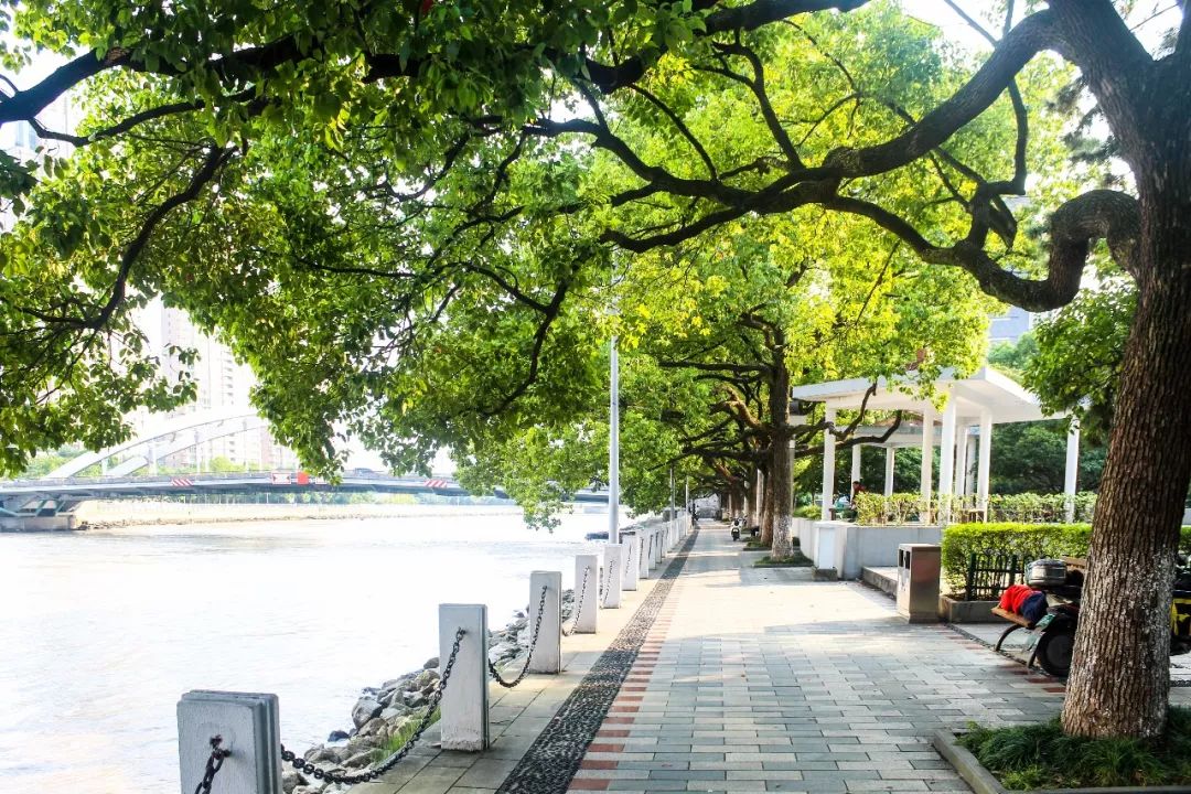 江厦公园一个被遗忘的地方