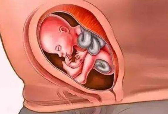 孕妇睡觉可以频繁翻身吗?睡姿不正确,可能会对胎儿发育有影响