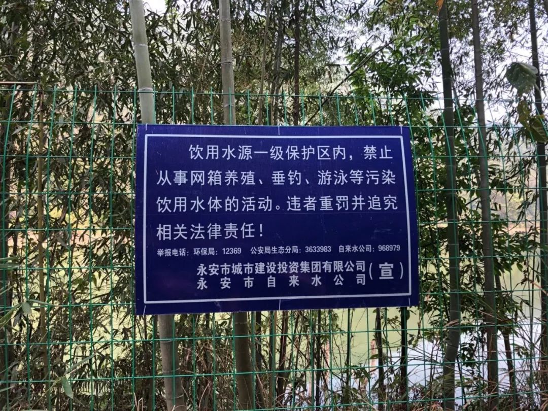 永安这里钓鱼,会惹麻烦!最高可能被罚款10万元!_水库