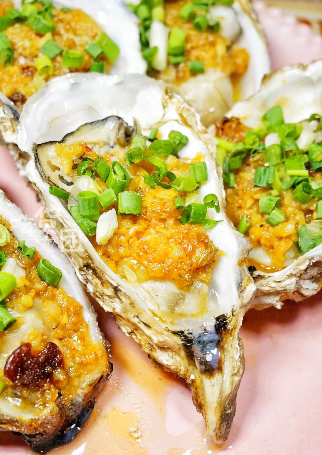 09元个随便吃福州这家高压锅生蚝网红鼻祖老板承包了整片蚝场