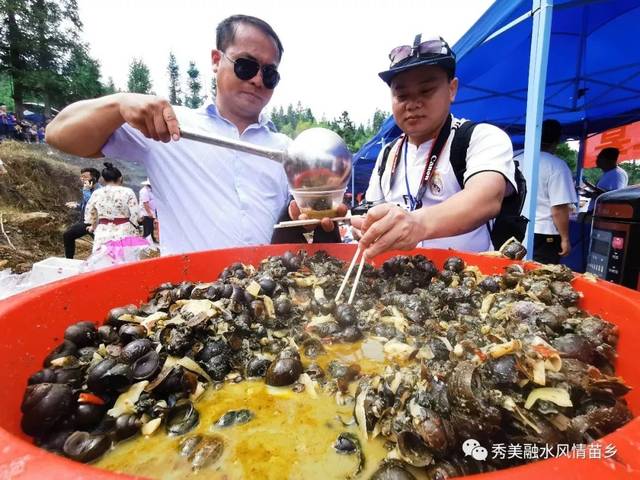 脱贫攻坚丨养殖香螺喜获丰收群众脱贫大有希望