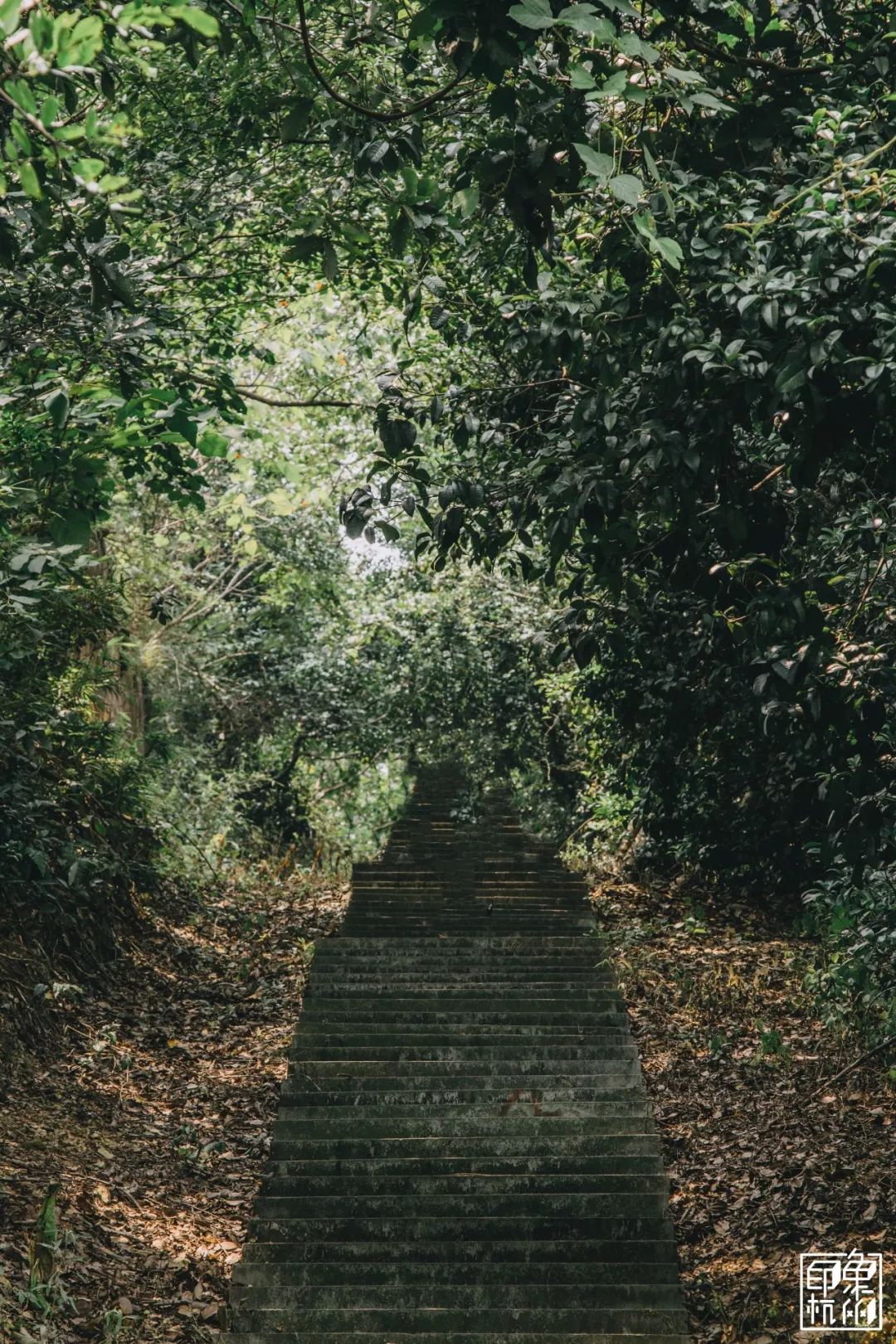 跨过中和桥沿着和山路身侧皆是绿意蔓延的山景我还发现一处通向远处的
