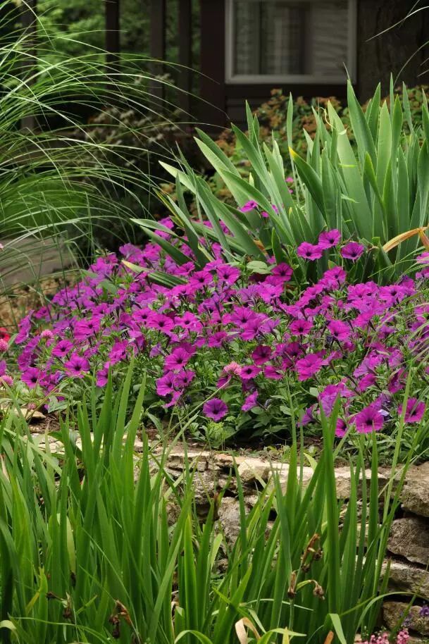 莳花食果搭配出璀璨丰饶的秋日花园