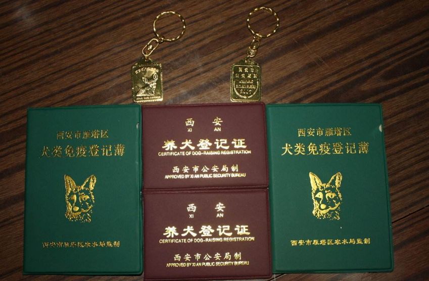 办狗证第一年500元1太原养犬新规将于11月1日起正式施行!