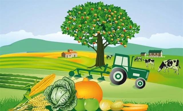 三大主粮作物上保险,2022年覆盖率超70%_农业