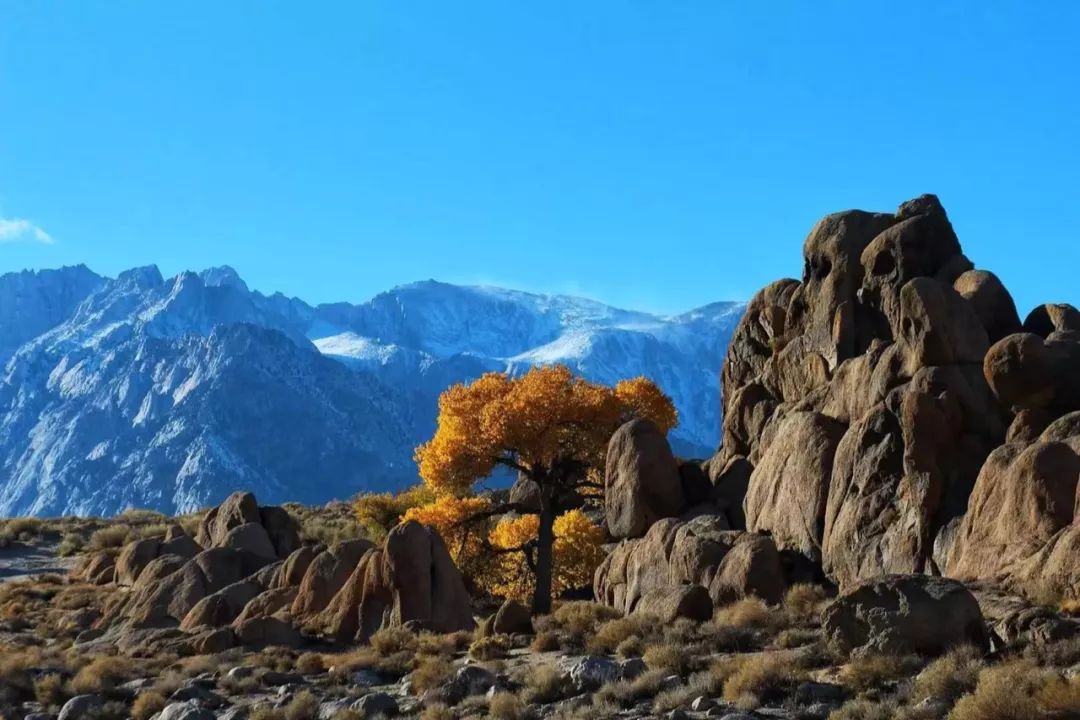 科西阿斯科山图片