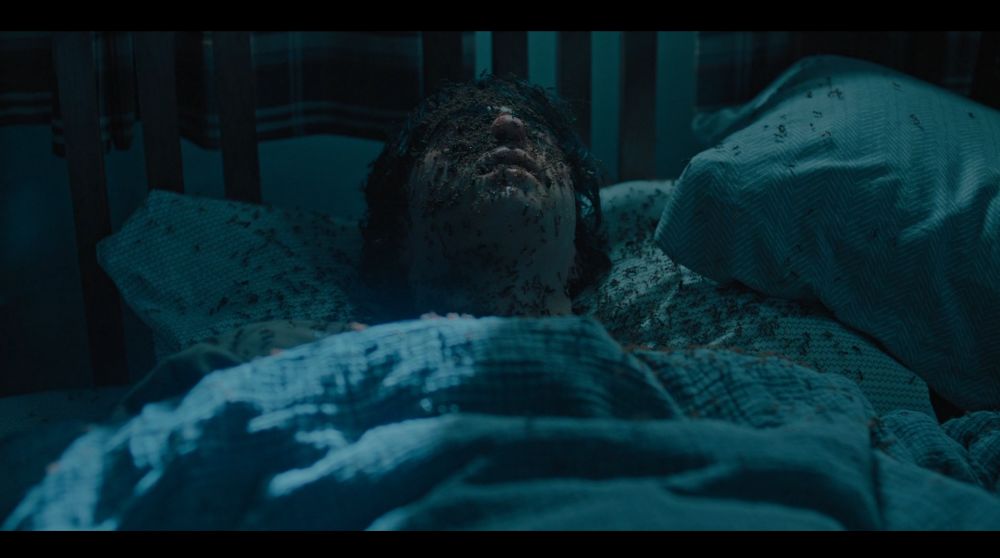 《仲夏夜惊魂》与《遗传厄运》还有一个相同的主题——破碎家庭的悲剧