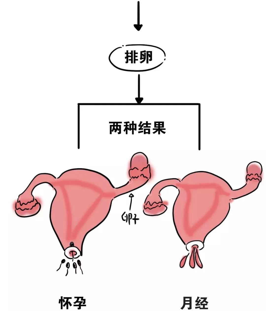 女儿第一来例假,怎么给她科普呢,听听做医生的妈妈是怎么说_月经