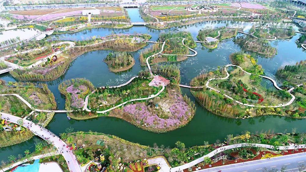 紫琅湿地上线花海相连鹭鸟合鸣不是一般的美