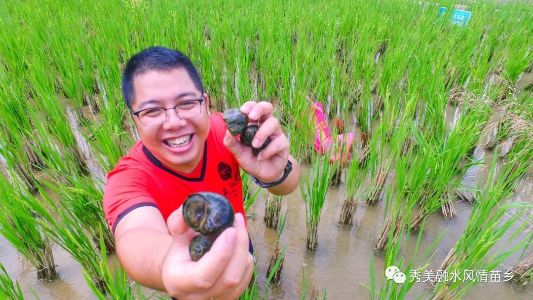 脱贫攻坚丨养殖香螺喜获丰收群众脱贫大有希望