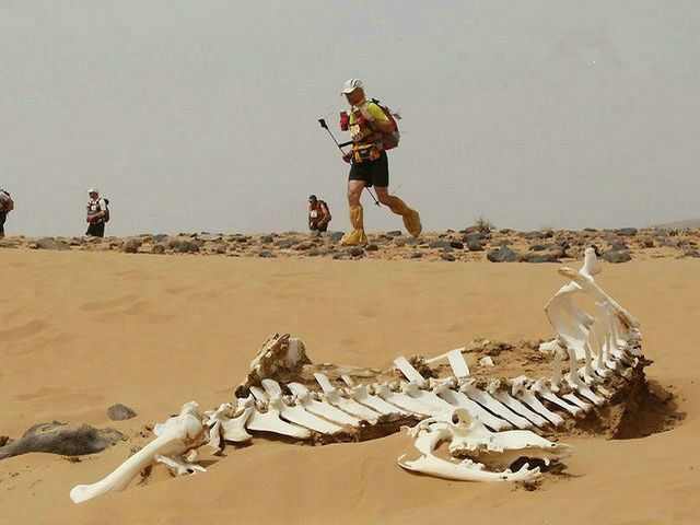 这个山谷叫"死亡谷",动物尸骸随处可见,游客却大批量前往