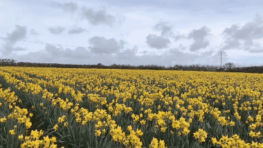 380_215gif 动态图 动图