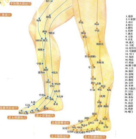 经常做腿部养护的8大好处_小腿