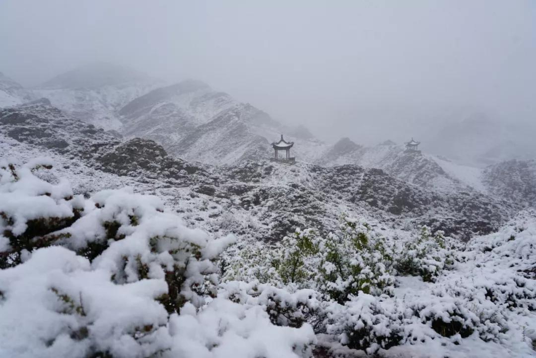 太惊艳雪后贺兰山宛如仙境68秒入冬宁夏各地雪情汇总68