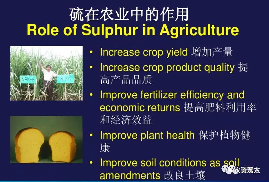 作物需硫硫的营养作用