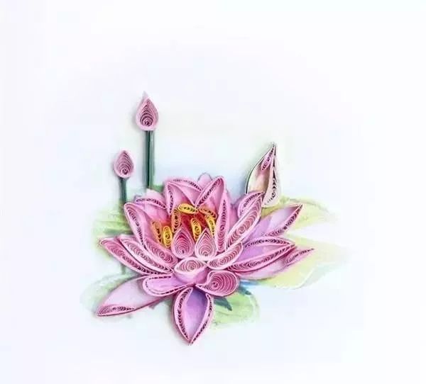 荷花荷包牡丹大丽花雏菊花百合