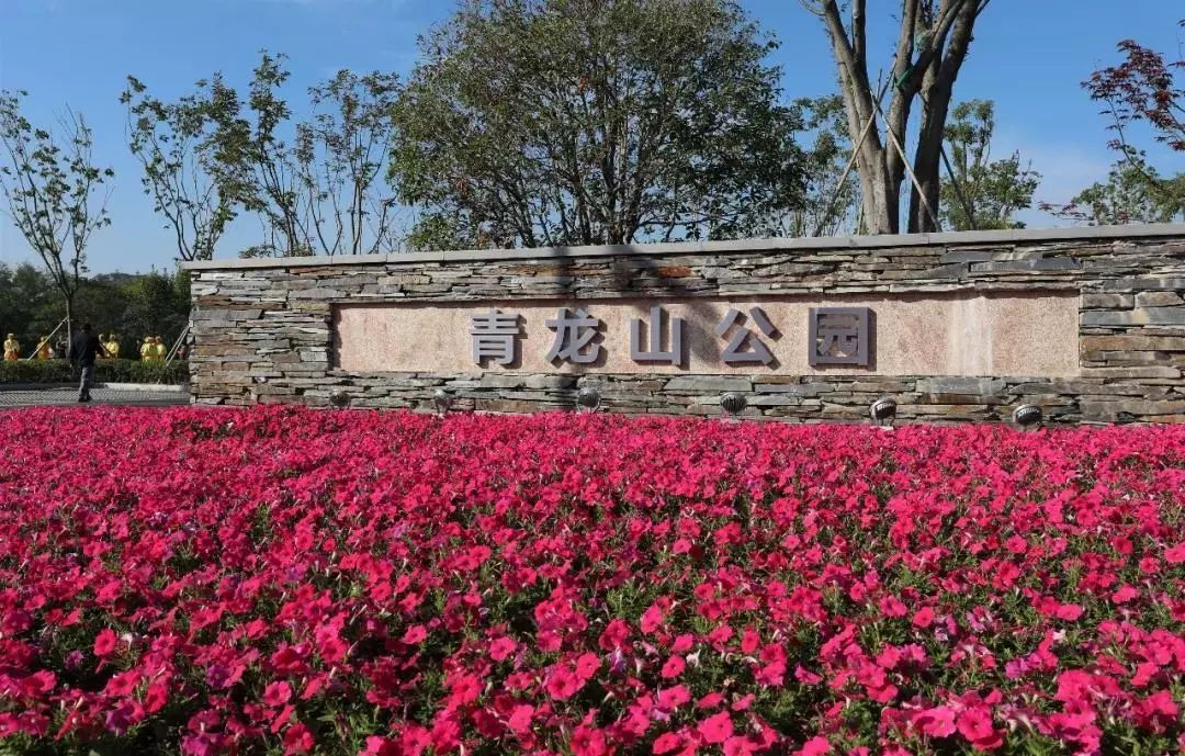 张店青龙山公园地址图片